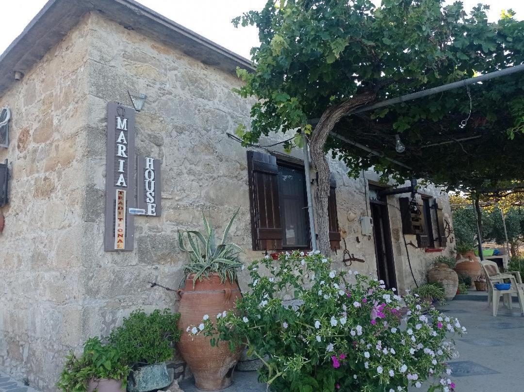 Traditional House Maria Azoyiras Exterior photo